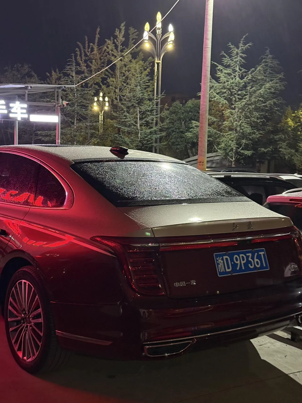 HongQi 2020 H9 48V 2.0T Zhilian Qi Chang Edition Automatic Gear 4