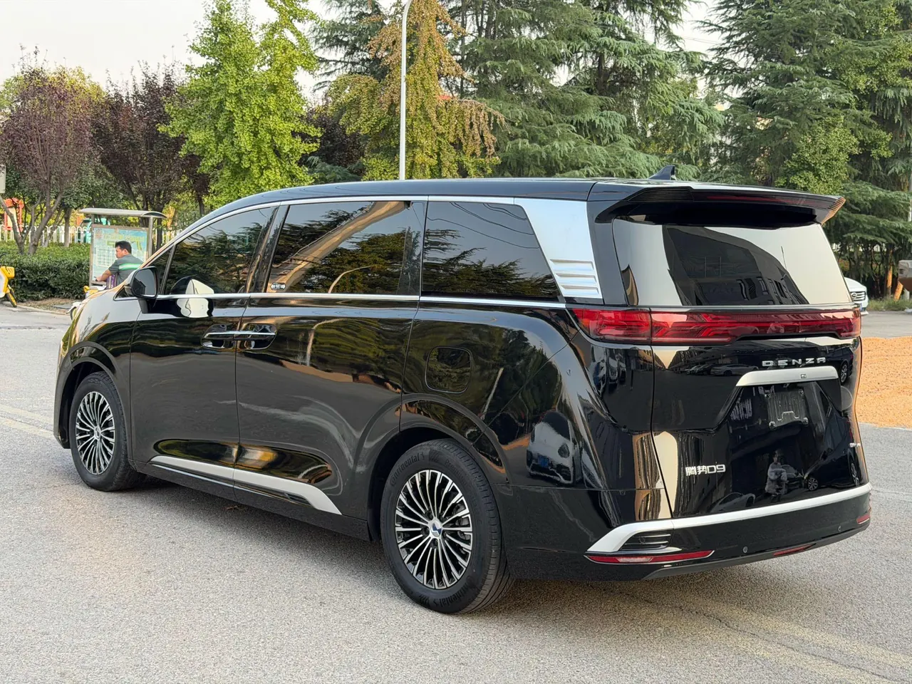 Denza 2025 Denza D9 EV Two-wheel Drive Automatic Gear 10