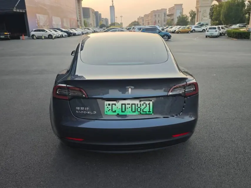 Tesla 2020 Model 3 Standard Endurance Rear Drive Upgrade (Modified) Automatic Gear 4