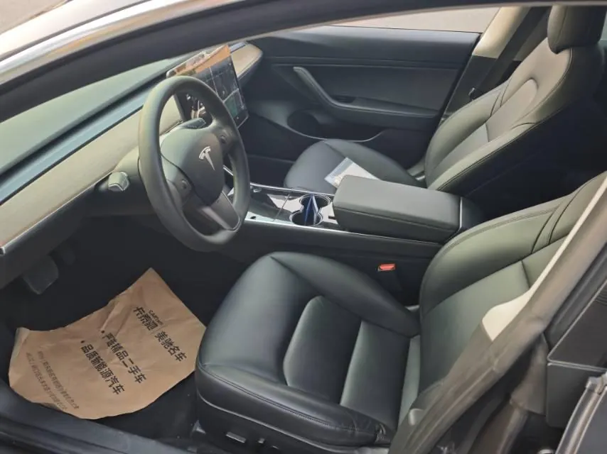 Tesla 2020 Model 3 Standard Endurance Rear Drive Upgrade (Modified) Automatic Gear 6