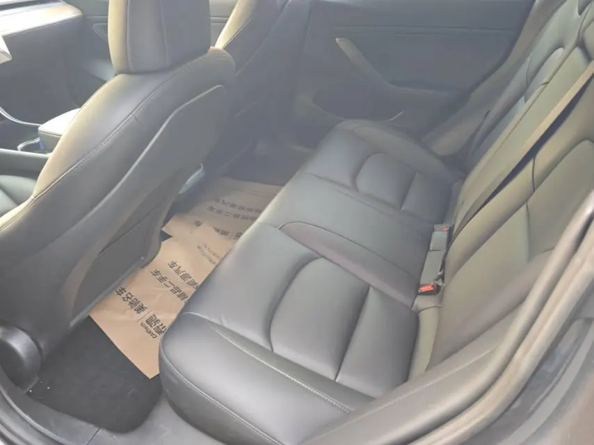 Tesla 2020 Model 3 Standard Endurance Rear Drive Upgrade (Modified) Automatic Gear 7