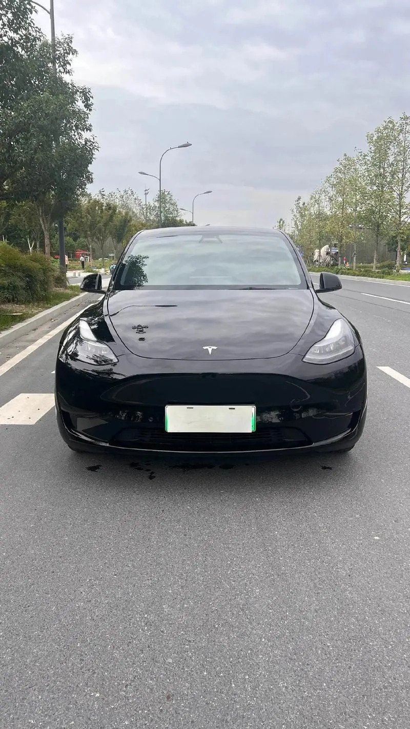 Tesla 2022 Model Y rear-wheel drive version (facelift) automatic gear 3