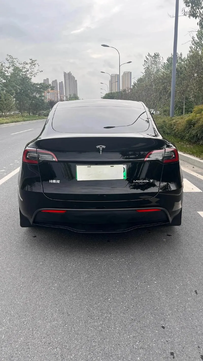 Tesla 2022 Model Y rear-wheel drive version (facelift) automatic gear 4