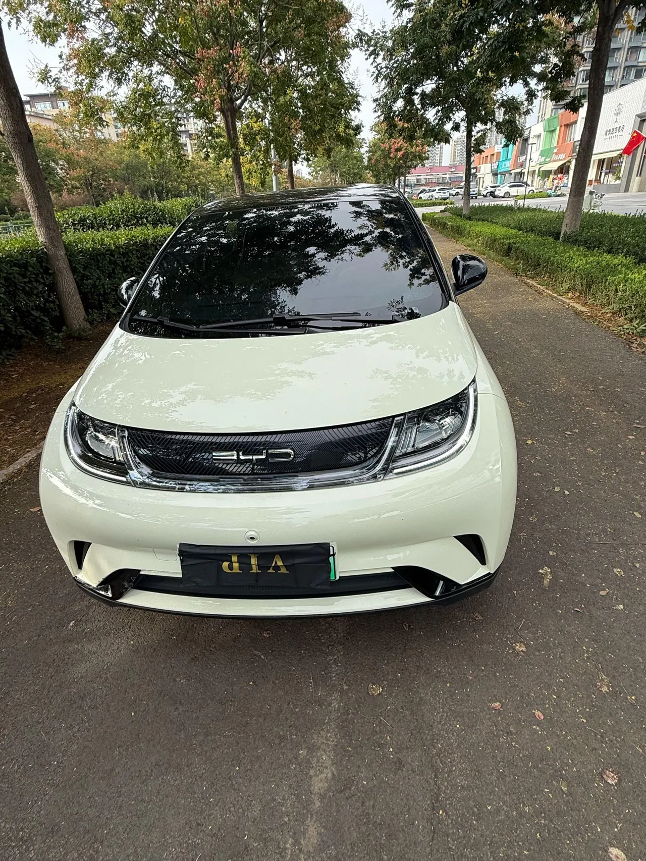 BYD 2023 Dolphin 500000 Commemorative Edition Pro Automatic 2