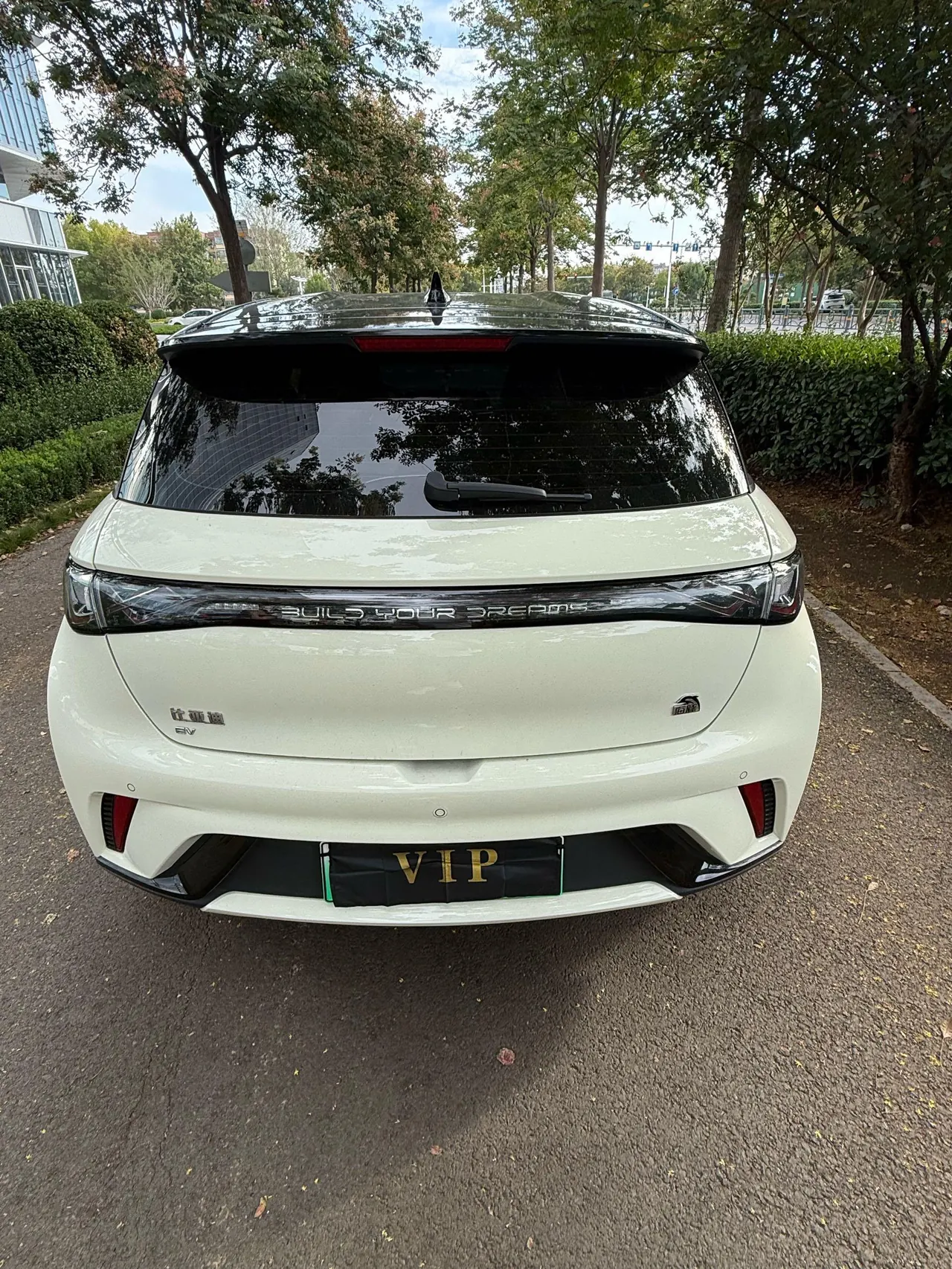 BYD 2023 Dolphin 500000 Commemorative Edition Pro Automatic 3