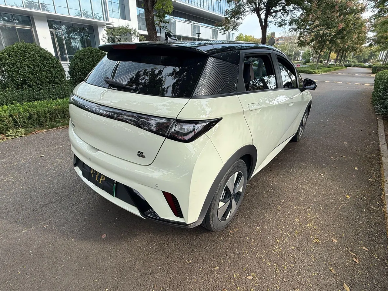 BYD 2023 Dolphin 500000 Commemorative Edition Pro Automatic 4