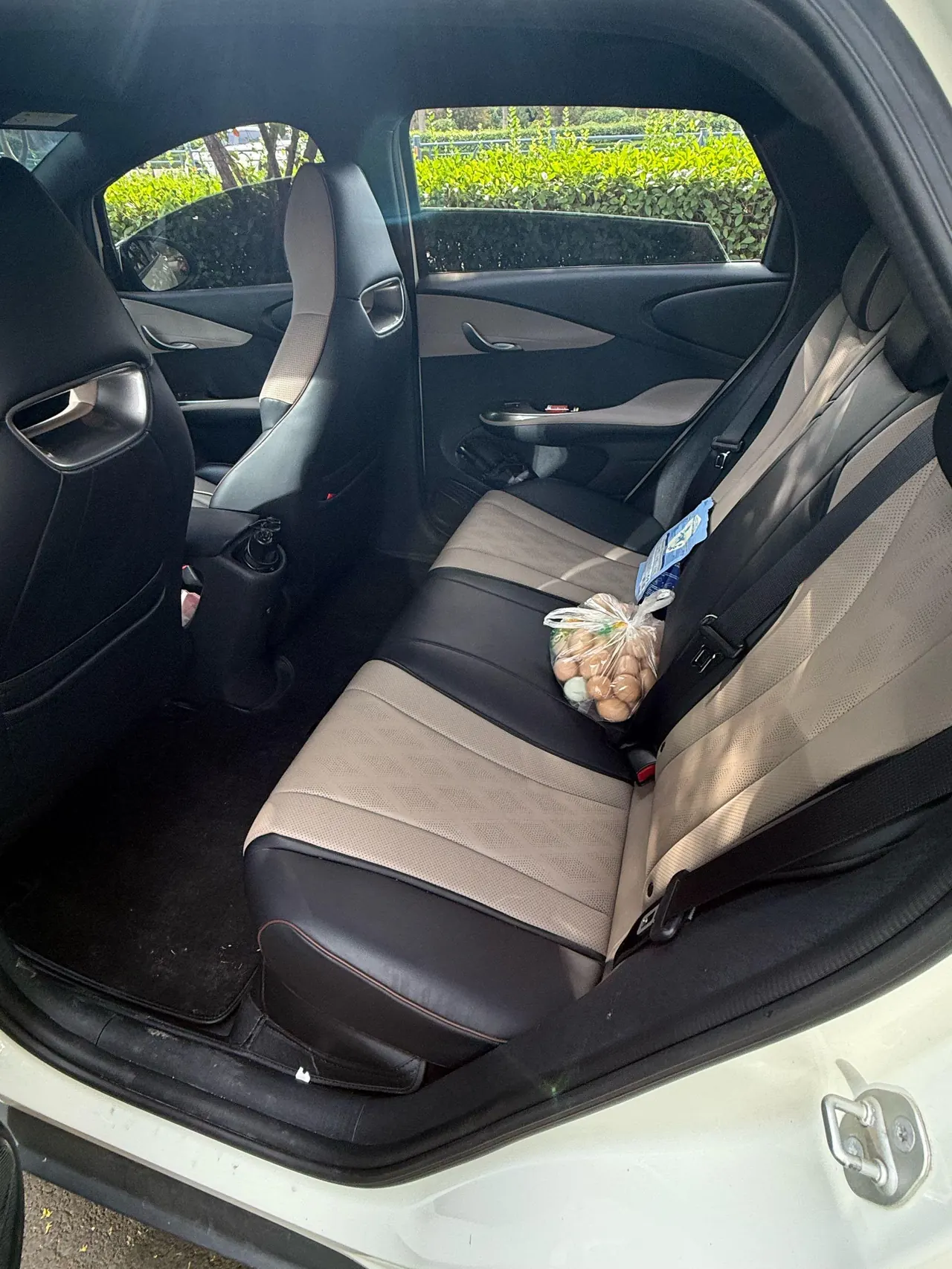 BYD 2023 Dolphin 500000 Commemorative Edition Pro Automatic 7