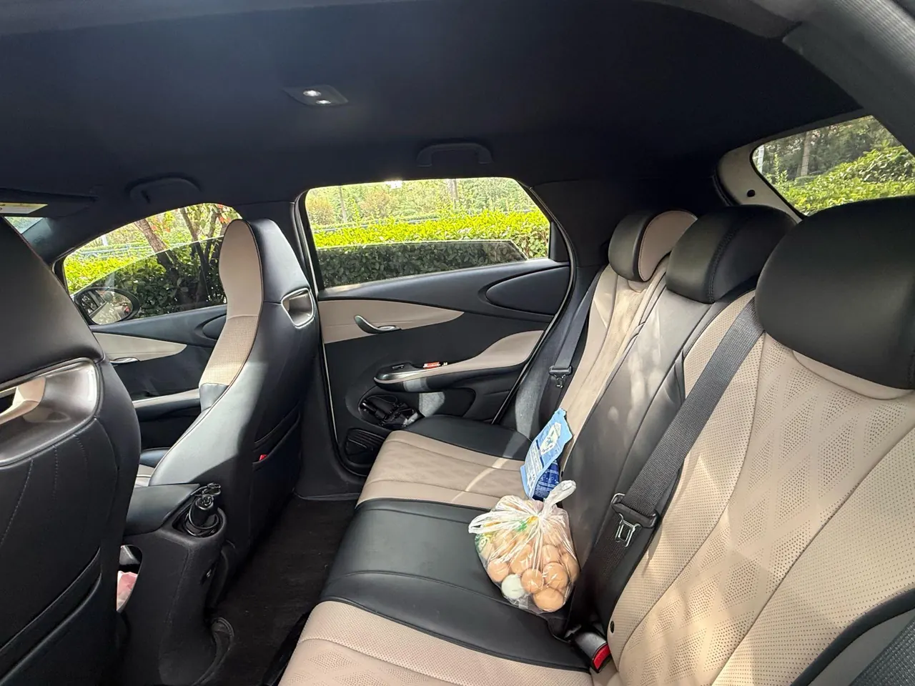 BYD 2023 Dolphin 500000 Commemorative Edition Pro Automatic 8