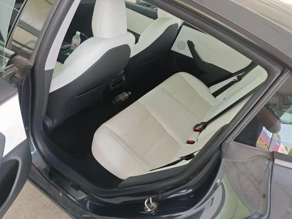 Tesla 2023 Model 3 Rejuvenation Edition Rear Wheel Drive Automatic Transmission 6