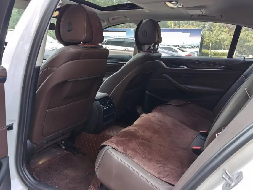 BMW 5 Series 2022 525Li 2.0T Luxury Suit (Change 2) Automatic Gear 5