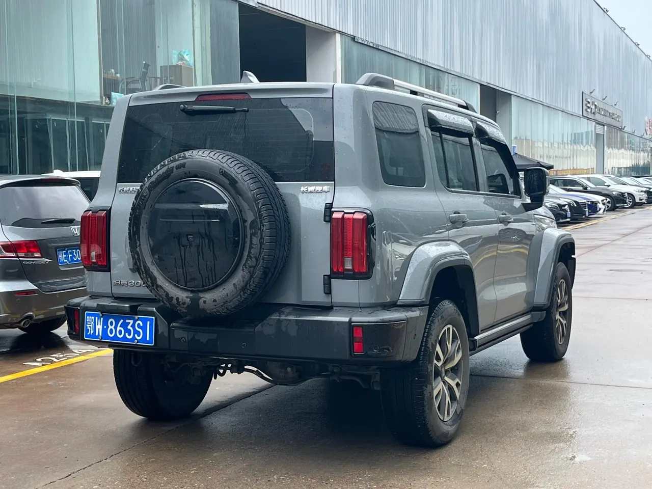 Tank 2024 Tank 300 48V 2.0T Crossing Automatic 7