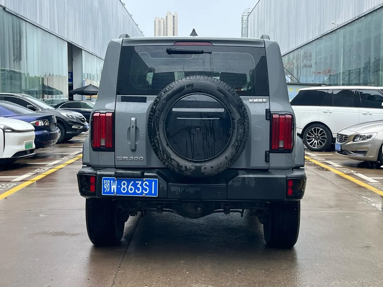 Tank 2024 Tank 300 48V 2.0T Crossing Automatic 9