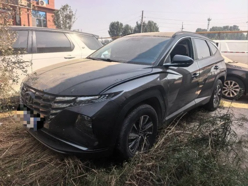 Hyundai 2022 Tousheng L Hybrid 2.0 Smart Edition Automatic Gear - View 1