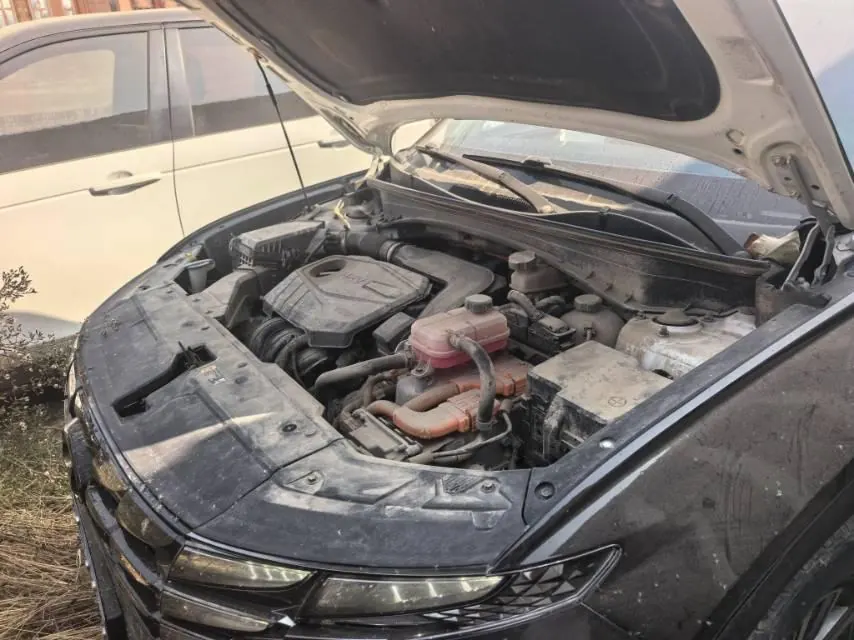Hyundai 2022 Tousheng L Hybrid 2.0 Smart Edition Automatic Gear 3