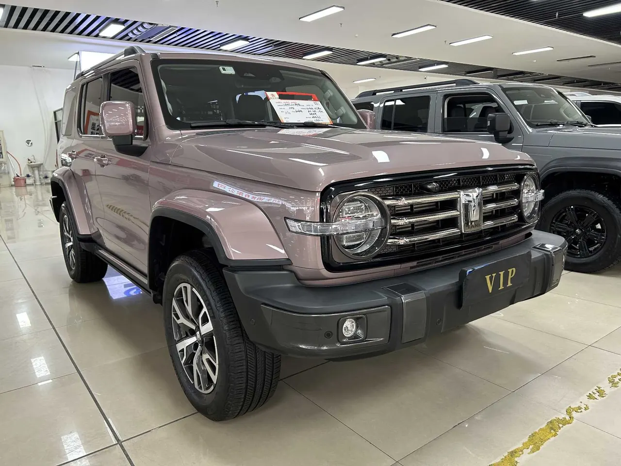 Tank 2023 Tank 300 2.0T City Edition Very Automatic 3
