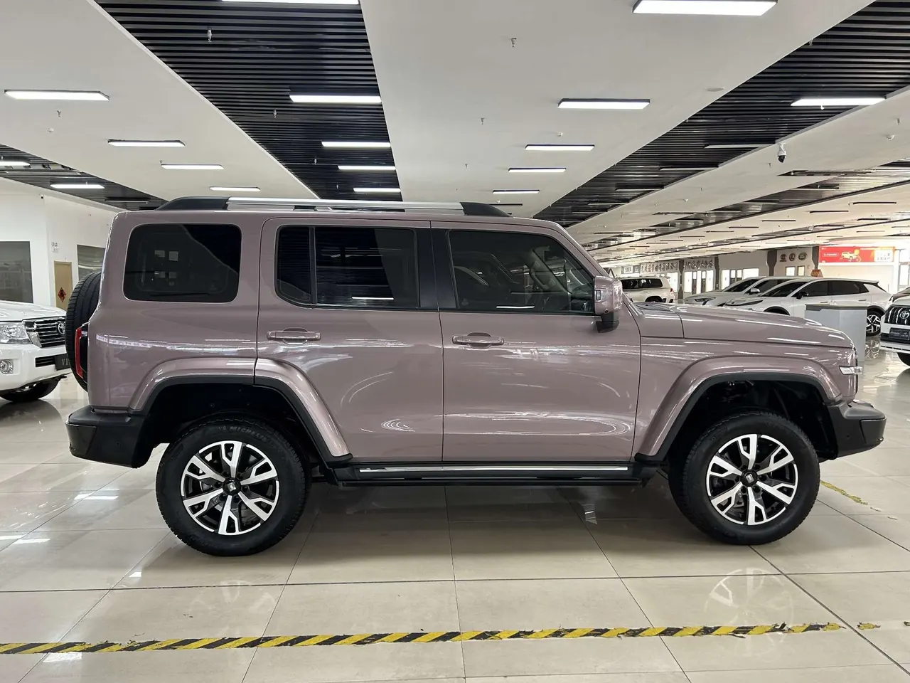 Tank 2023 Tank 300 2.0T City Edition Very Automatic 4