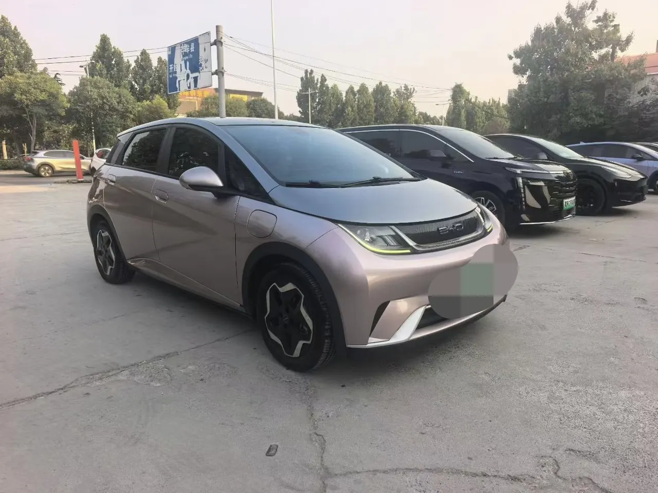 BYD 2021 Dolphin 405km Fashion Edition Automatic 3
