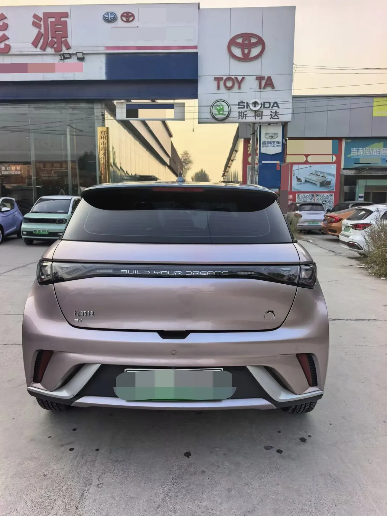 BYD 2021 Dolphin 405km Fashion Edition Automatic 4