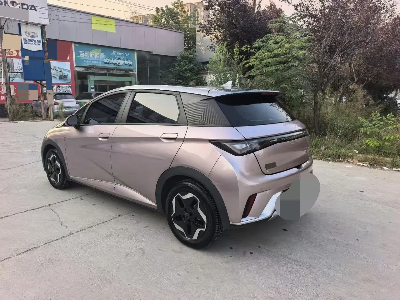 BYD 2021 Dolphin 405km Fashion Edition Automatic 5
