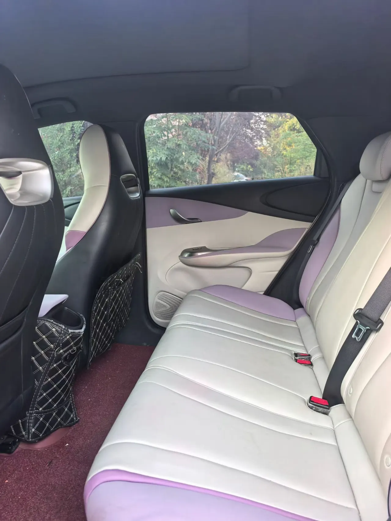 BYD 2021 Dolphin 405km Fashion Edition Automatic 8