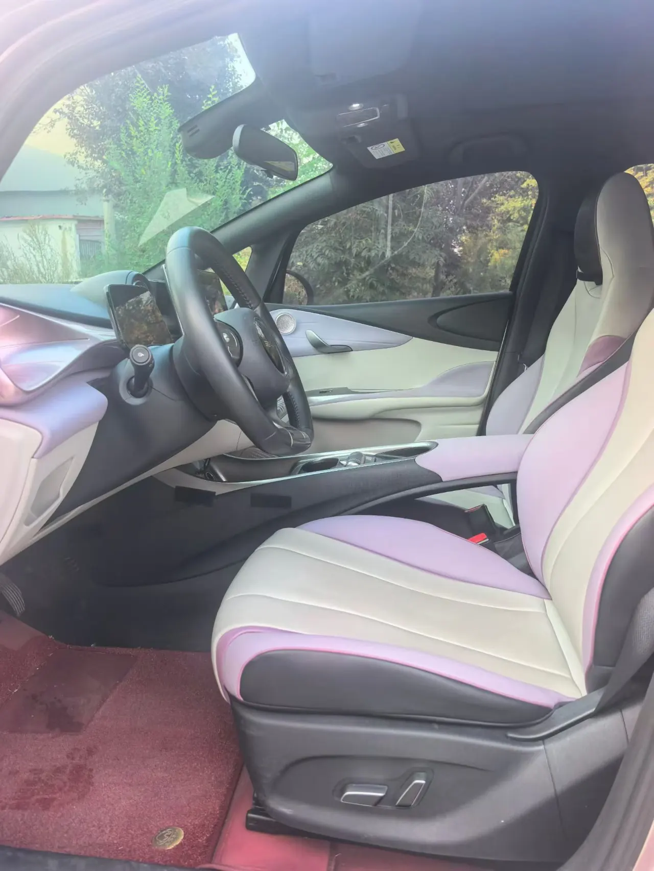 BYD 2021 Dolphin 405km Fashion Edition Automatic 9