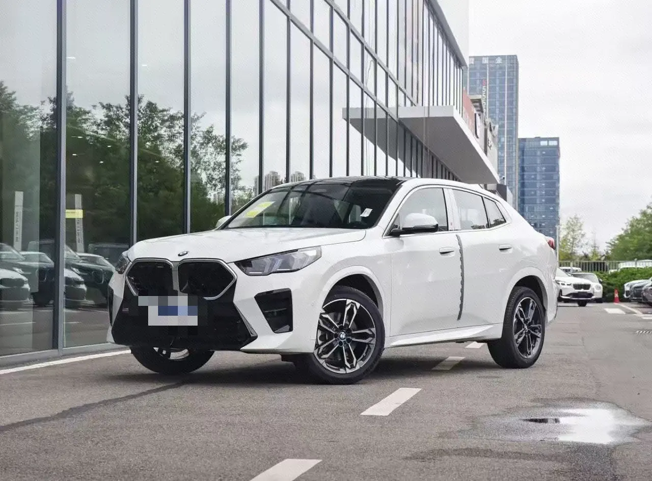 BMW X2 (Imported) 2025 X2 sDrive25i 2.0T M Sports Suit Automatic Gear - View 1