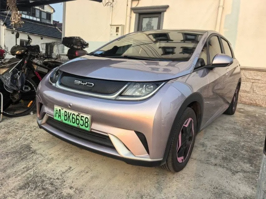 Open image lightbox: BYD 2021 Dolphin 405km Fashion Edition Automatic