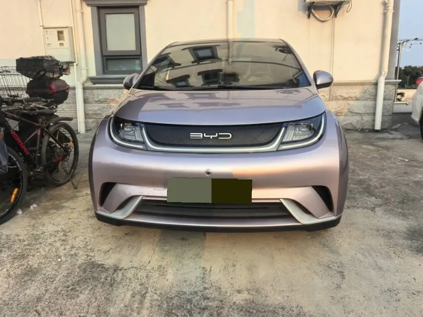 BYD 2021 Dolphin 405km Fashion Edition Automatic 2