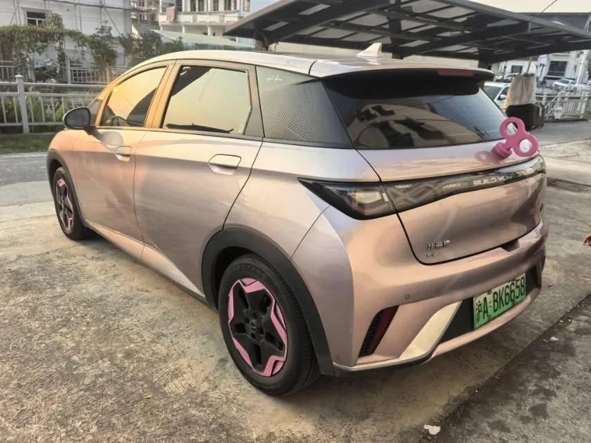 BYD 2021 Dolphin 405km Fashion Edition Automatic 3