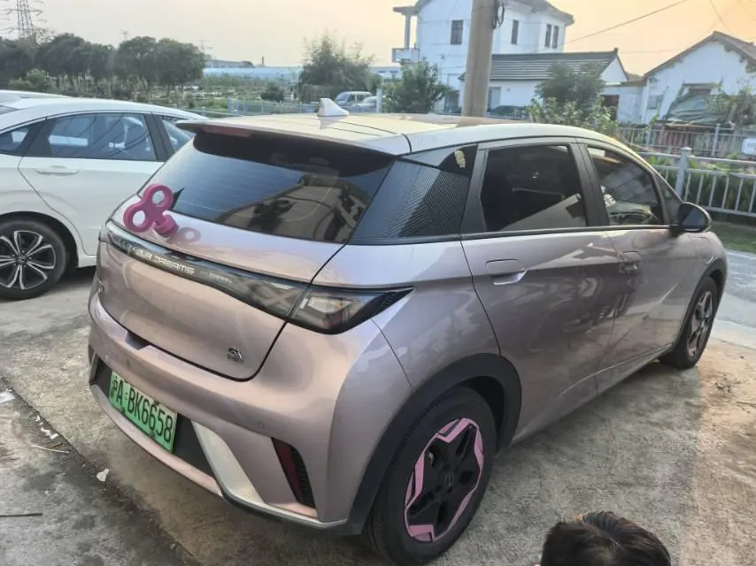 BYD 2021 Dolphin 405km Fashion Edition Automatic 4