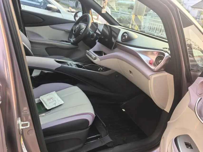 BYD 2021 Dolphin 405km Fashion Edition Automatic 5