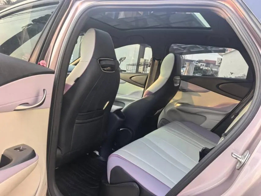 BYD 2021 Dolphin 405km Fashion Edition Automatic 6