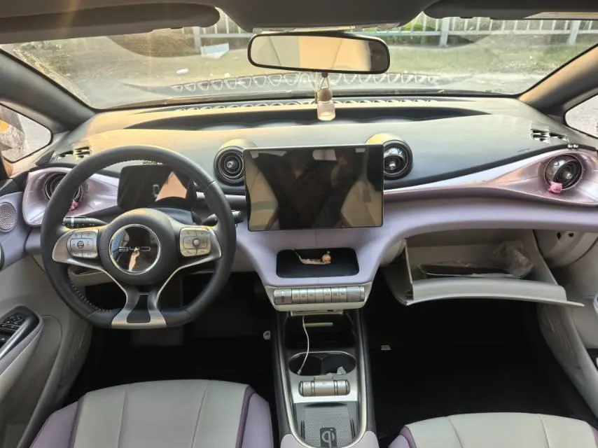 BYD 2021 Dolphin 405km Fashion Edition Automatic 8