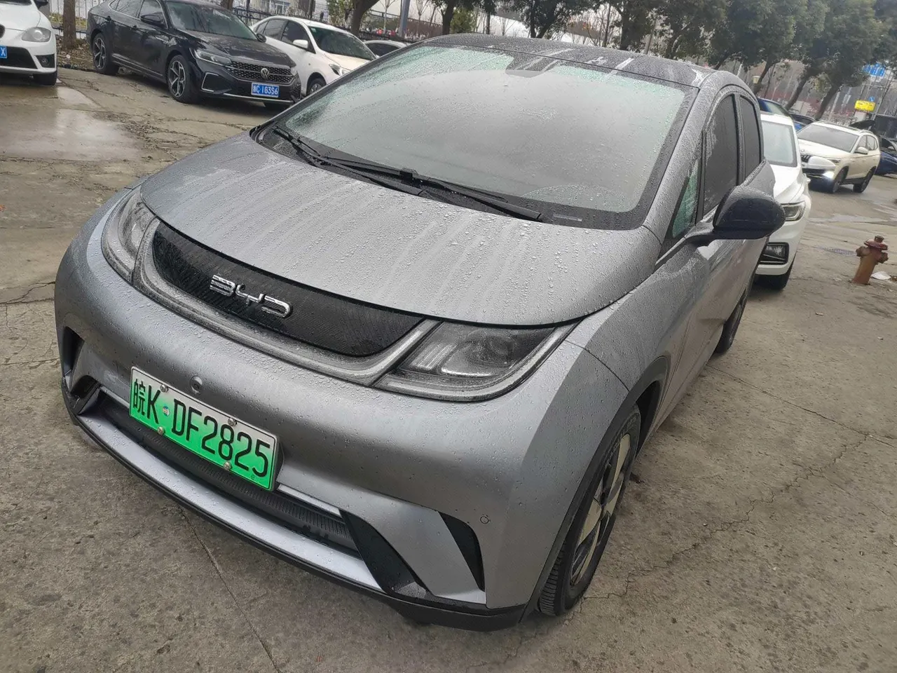 Open image lightbox: BYD 2023 Dolphin 420km Fashion Edition Automatic