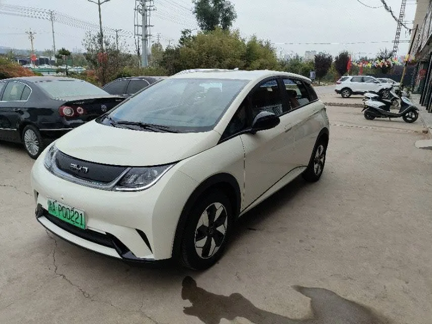 Открыть галерею: BYD 2025 Dolphins 420km Free Edition Automatic