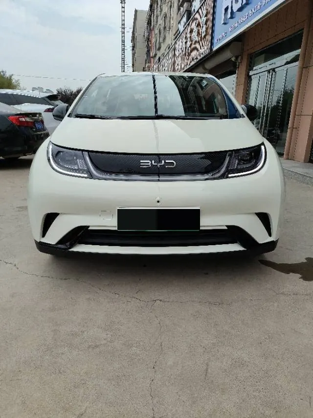 BYD 2025 Dolphins 420km Free Edition Automatic 2