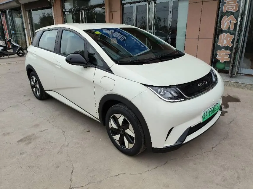 BYD 2025 Dolphins 420km Free Edition Automatic 3