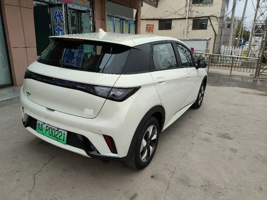 BYD 2025 Dolphins 420km Free Edition Automatic 4