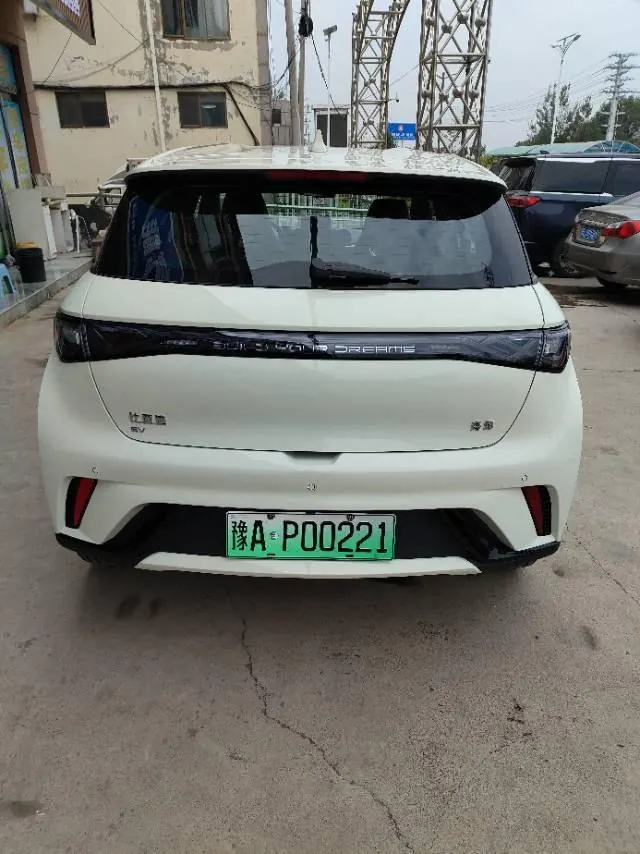 BYD 2025 Dolphins 420km Free Edition Automatic 5