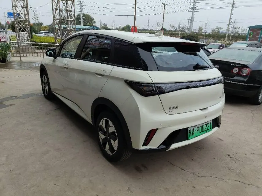 BYD 2025 Dolphins 420km Free Edition Automatic 6