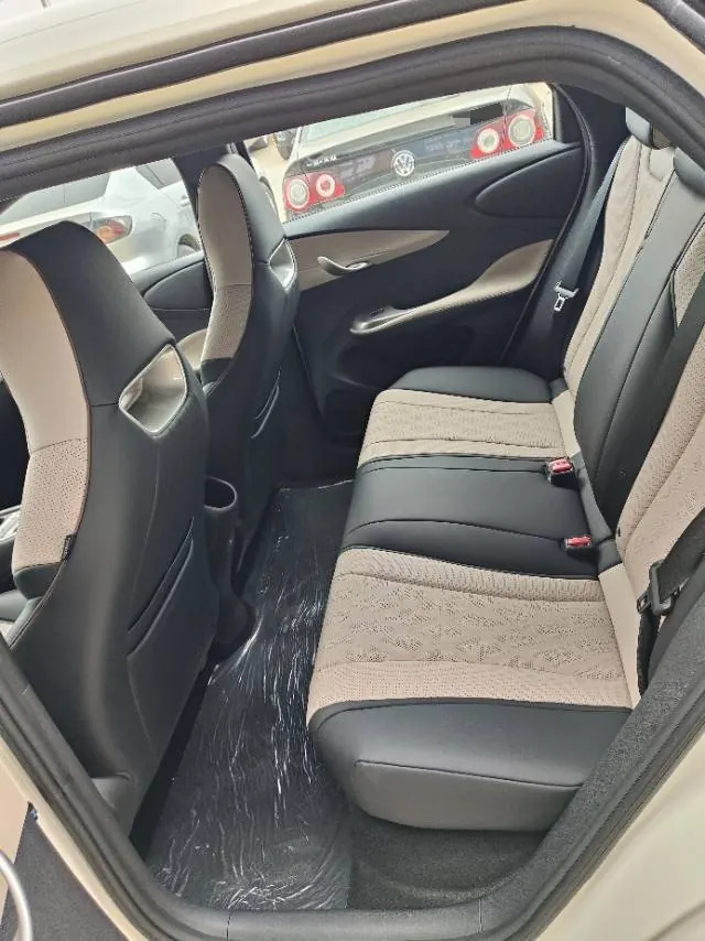 BYD 2025 Dolphins 420km Free Edition Automatic 8
