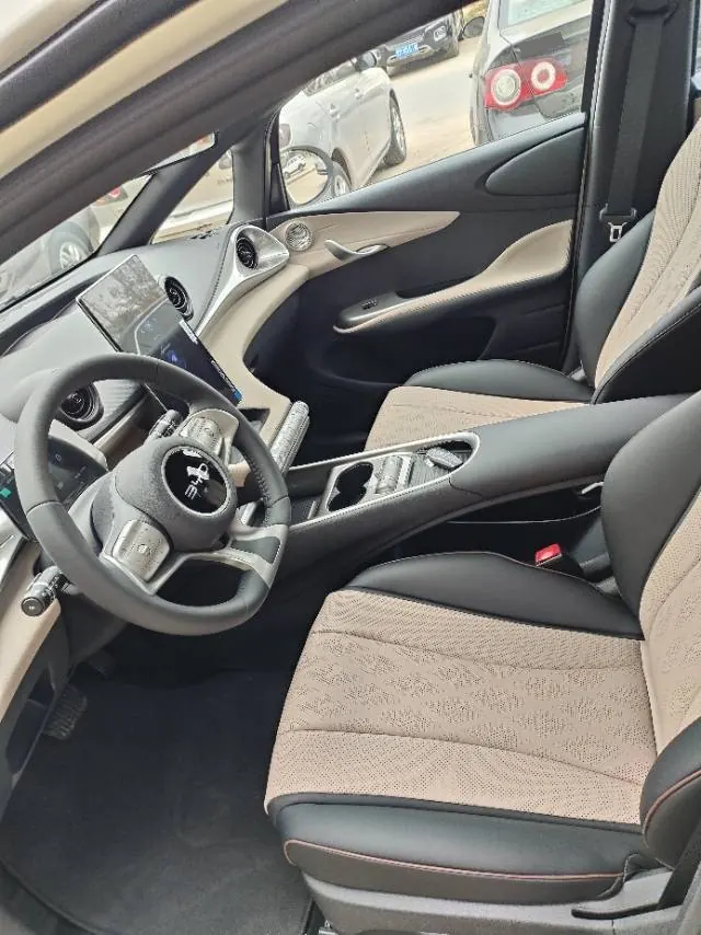 BYD 2025 Dolphins 420km Free Edition Automatic 9