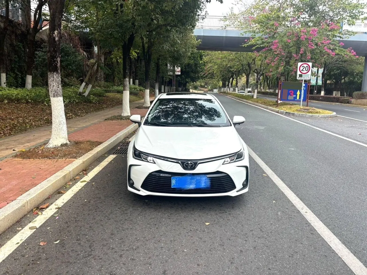 Toyota 2022 corolla 1.2T stepless pioneer PLUS version automatic gear 3