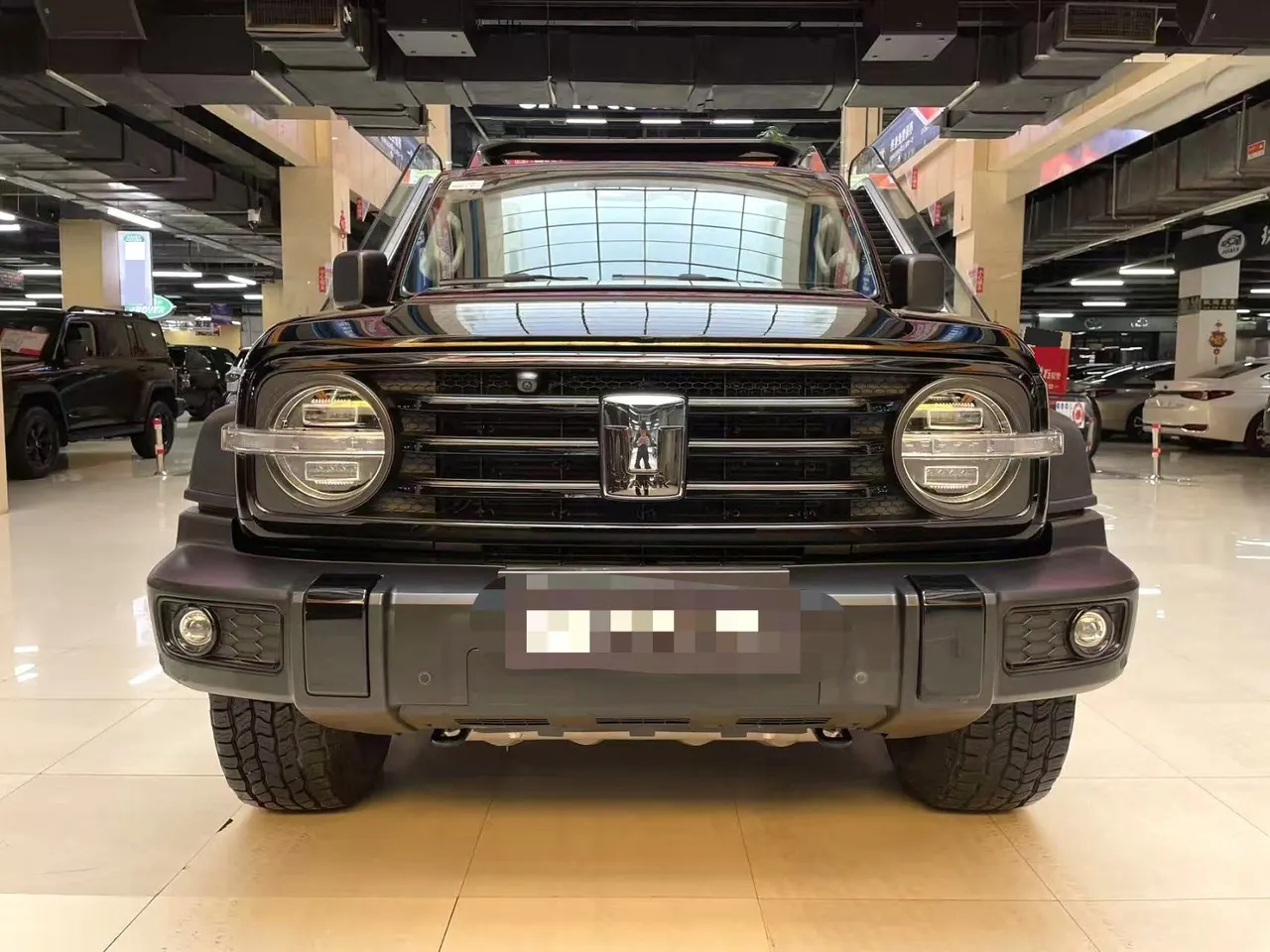 Tank 2023 Tank 300 2.0T Off-road Conqueror Automatic 2