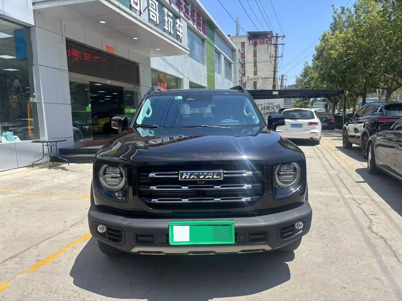 Haval 2021 Big Dogs 1.5T Border Animal Husbandry Wangcai Edition Automatic Gear 2