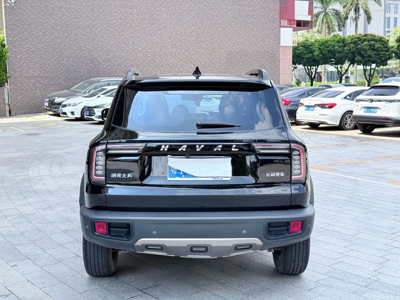 Haval 2022 big dogs 1.5T two-wheel-drive border animal husbandry version automatic gear 8