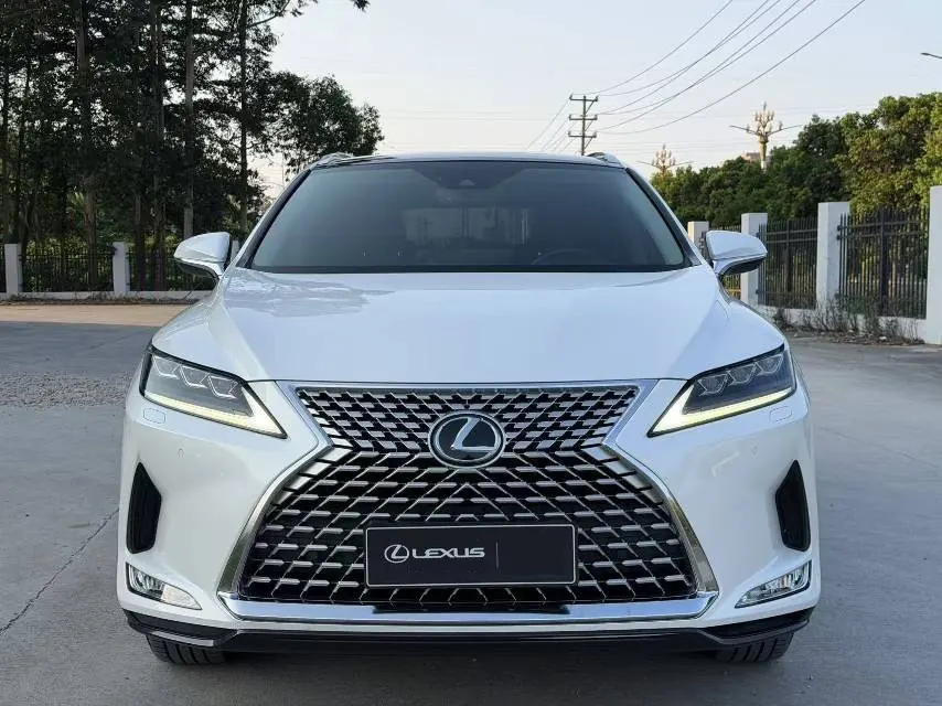 Lexus RX (Imported) 2021 RX300 2.0T Four-wheel Drive Special Edition Automatic Gear 2