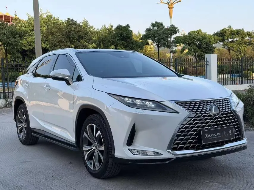 Lexus RX (Imported) 2021 RX300 2.0T Four-wheel Drive Special Edition Automatic Gear 3