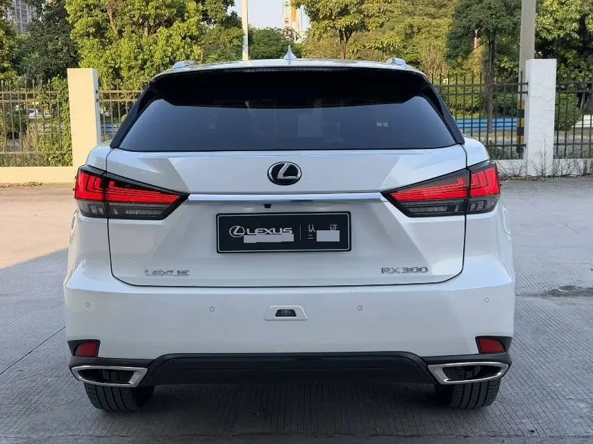 Lexus RX (Imported) 2021 RX300 2.0T Four-wheel Drive Special Edition Automatic Gear 8