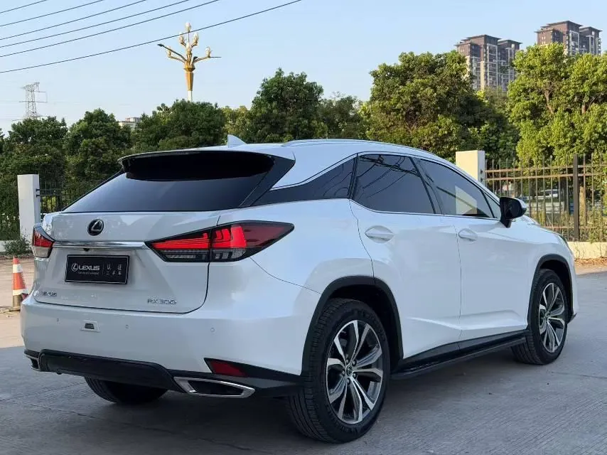 Lexus RX (Imported) 2021 RX300 2.0T Four-wheel Drive Special Edition Automatic Gear 9